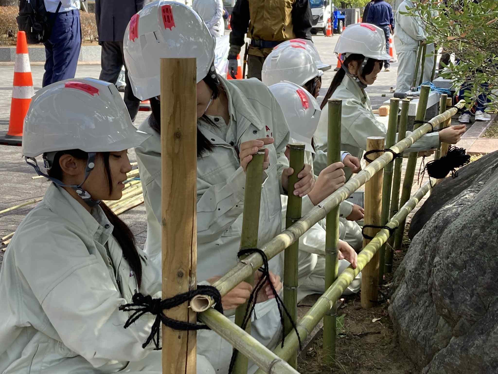 新着情報画像