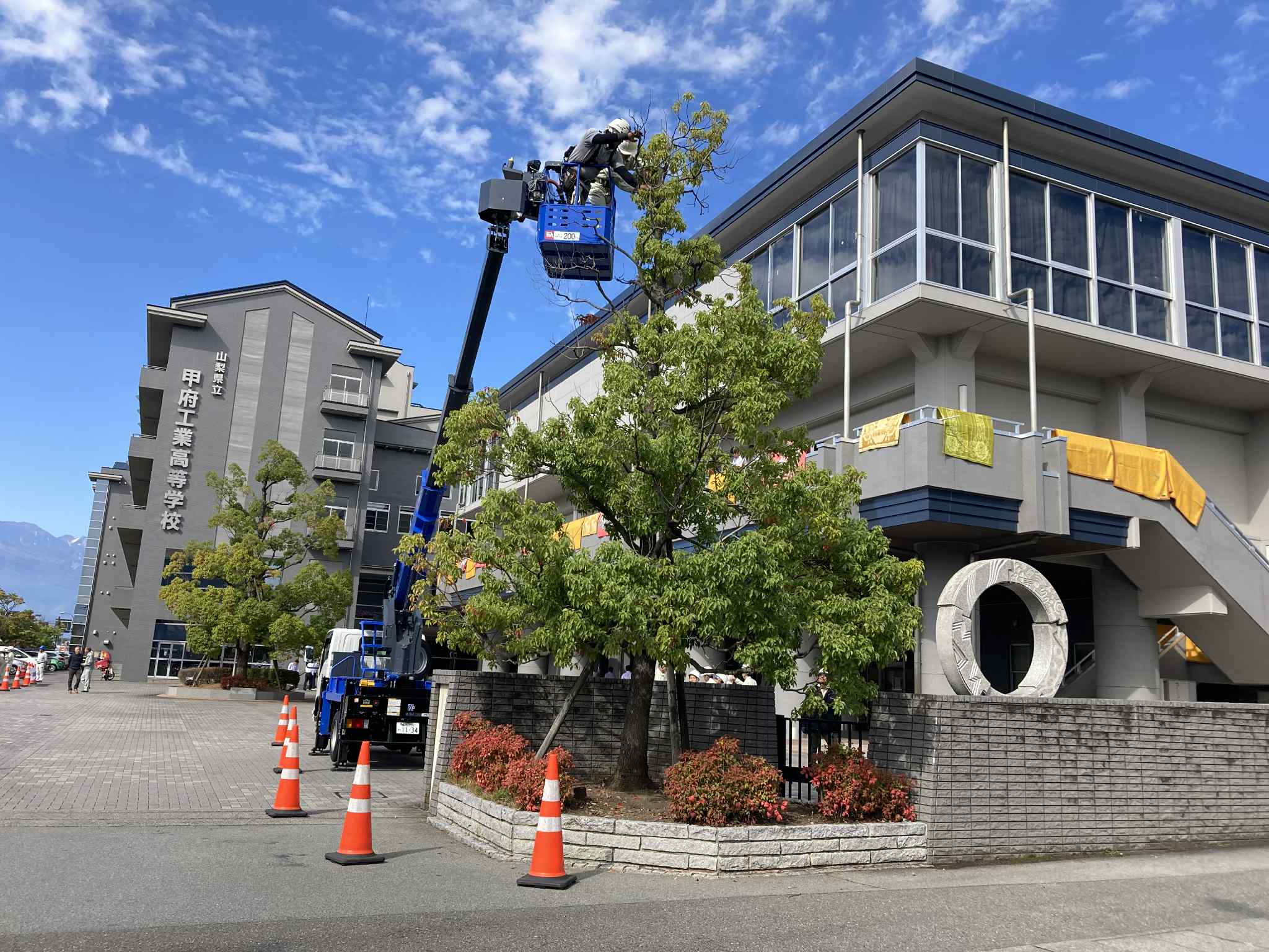 新着情報画像