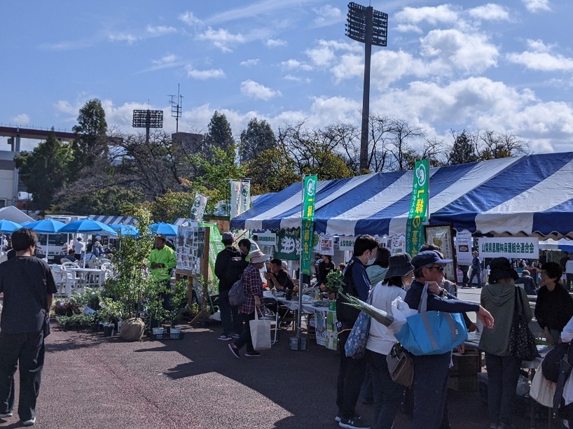 新着情報画像